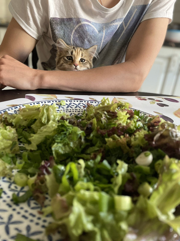 IMG-0322d50f525fbac3cea325a6e8f8424d-V