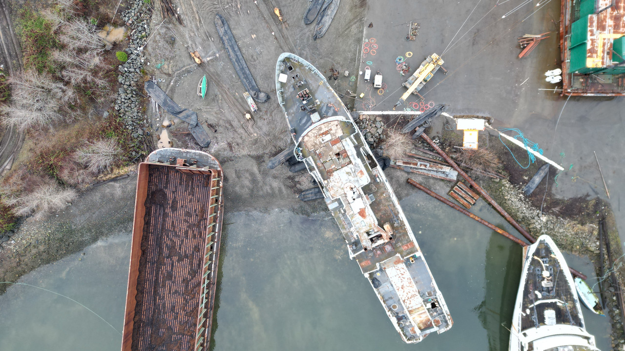 Jan-10-2023-DJI-0881