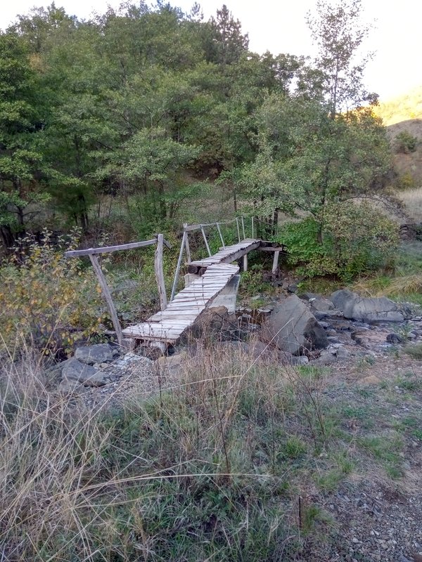 IMG-20241009-171746.jpg