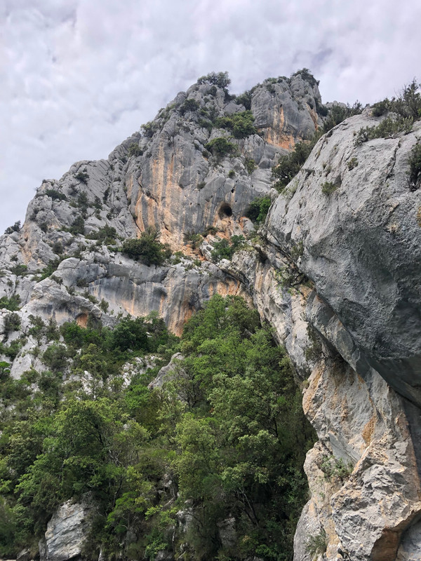 4A5EE253-A41D-40E5-824A-36EA5085764E