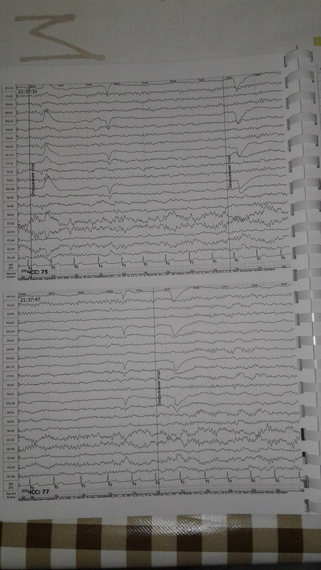 1510520807046-1170400334