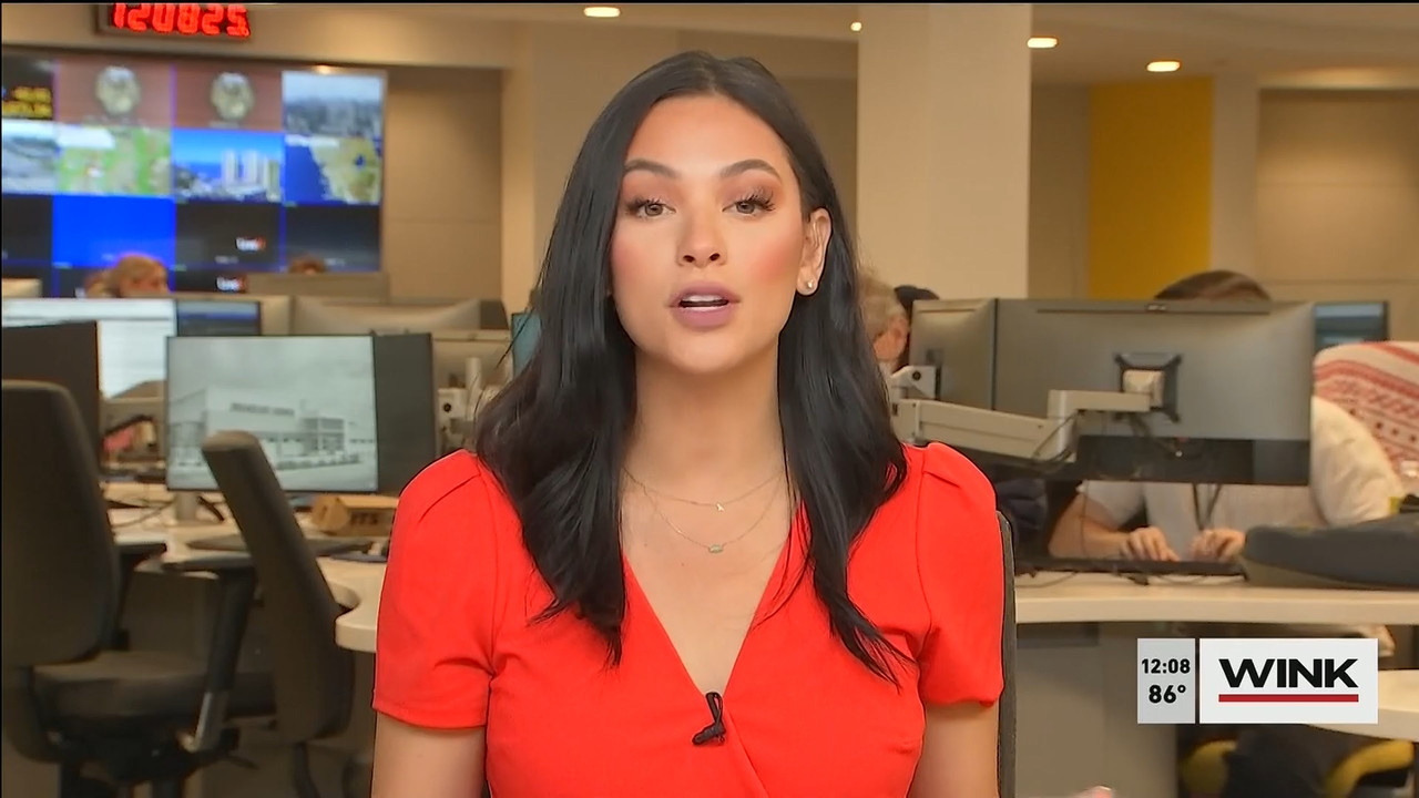11.01 - 16.00.00 - The WINK Noon News  ᴺᵉʷ. Midday news update..ts_snapshot_14.32.941