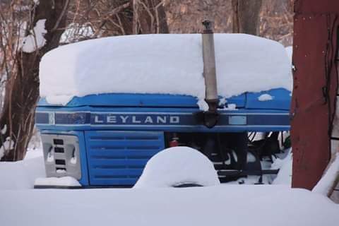 FB_IMG_1596811271336