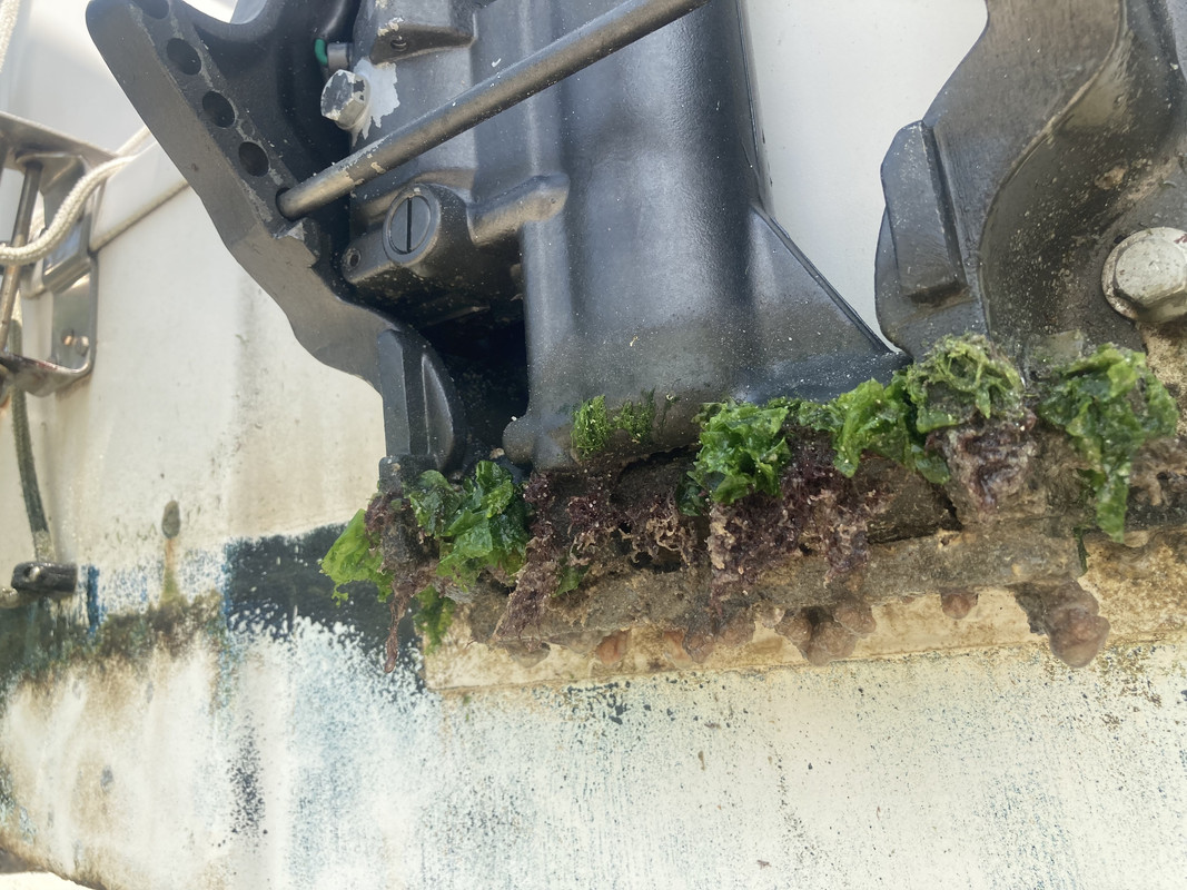 1C093409-41C2-465A-8708-4175FCE9C0A7