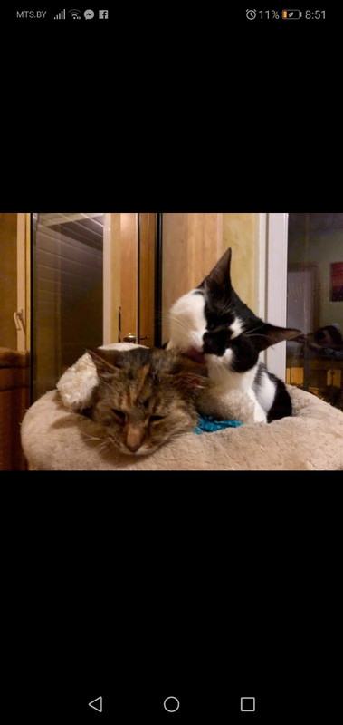 Зиг-заг Макряк 3