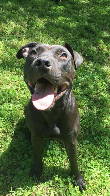 EA4BFC7C-C1EC-4E3E-BA7B-59562AB6E051