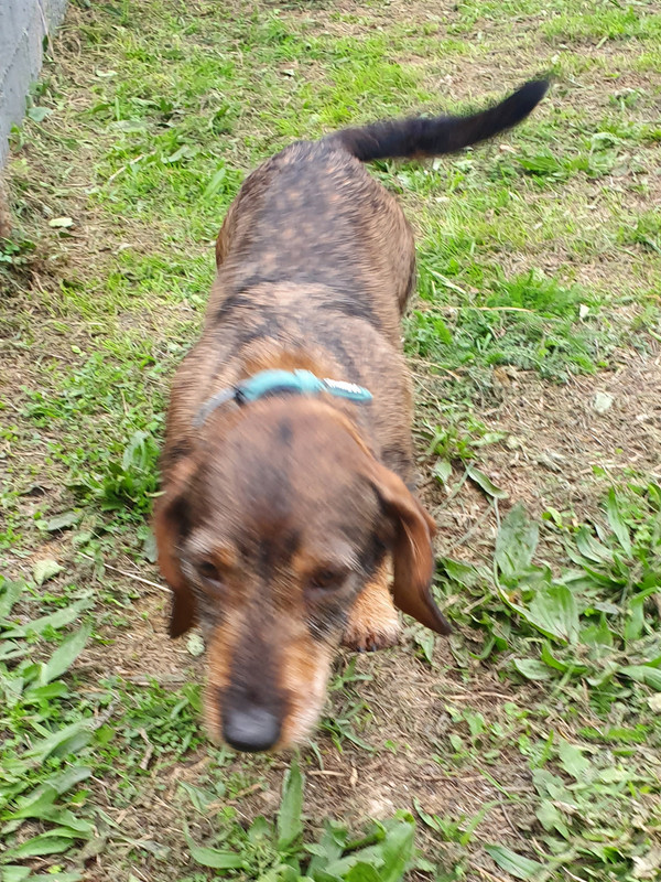 [Image: 20221006-072344.jpg]