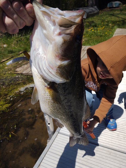 IMG-20210501-132244443.jpg