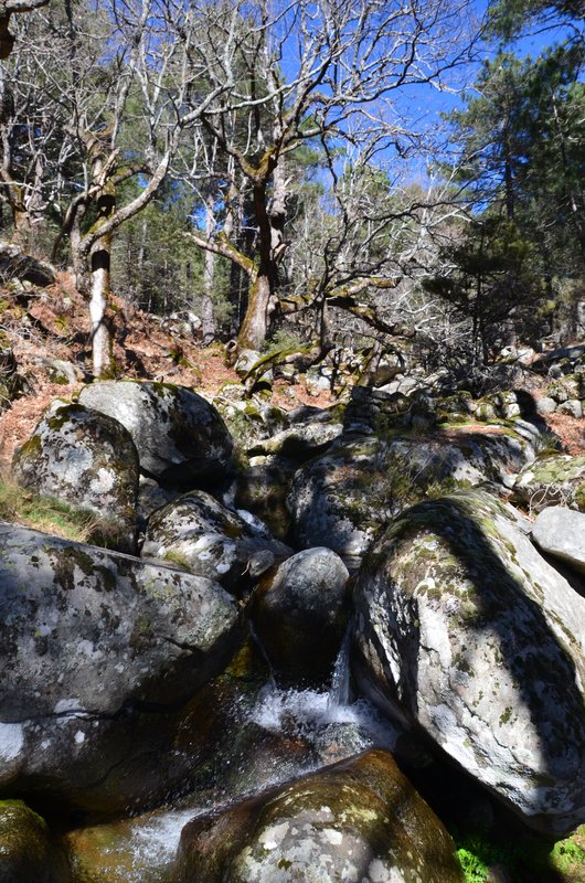 RUTA EMBALSE DEL HORCAJO Y GARGANTAS DEL VALLE DEL TIETAR-20-2-2016-AVILA - Paseando por España-1991/2016 (45)