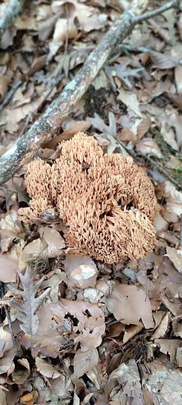 WhatsApp Image 2023-08-06 at 16.43.55 (2)