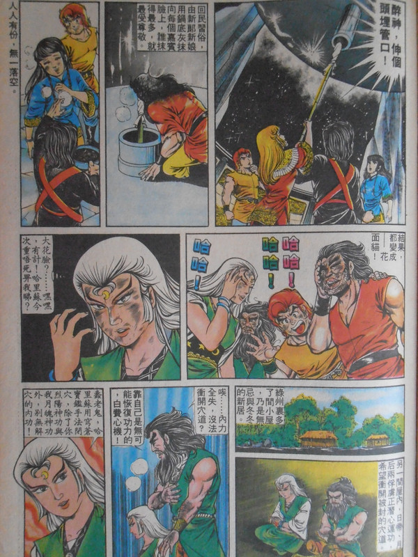 醉拳：無忌大婚