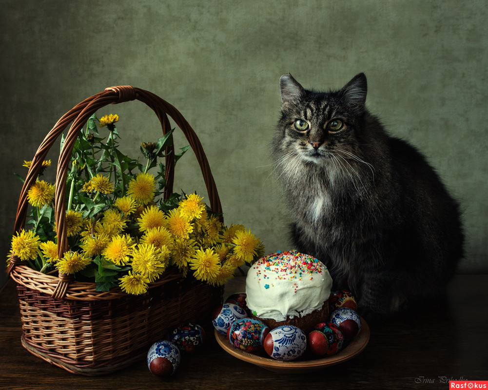 2e64c173b87a175650a340f97dd08274