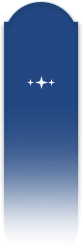 ai match detail blue