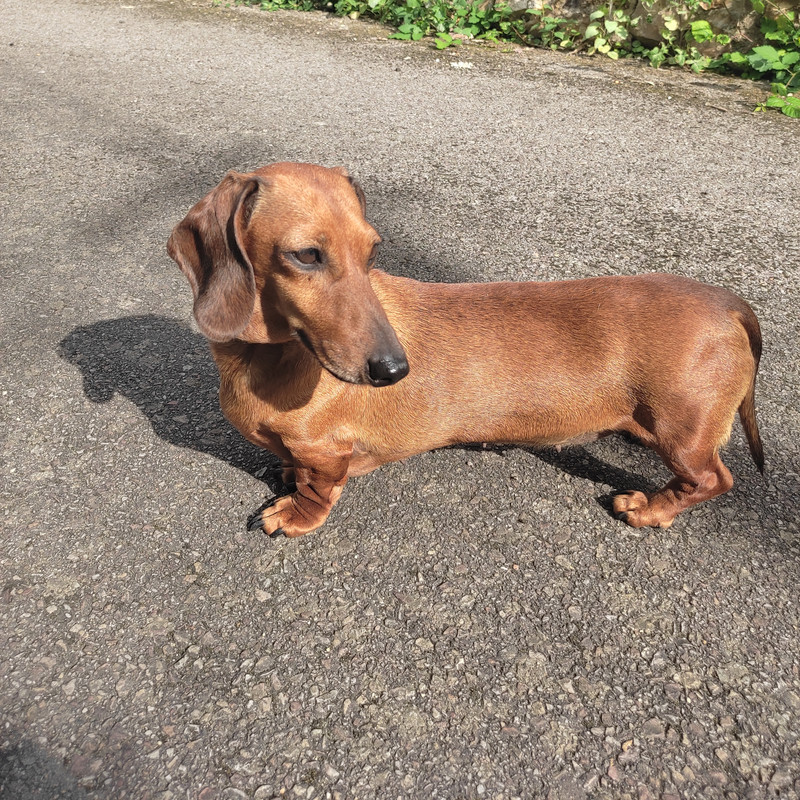 [Image: IMG-20240823-142004.jpg]