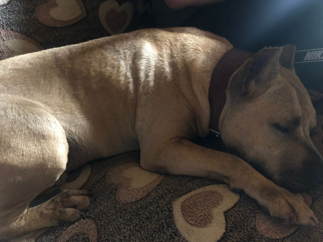 FFE0F138-DC0F-4189-B149-AF69CAC3096A