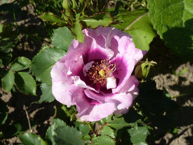 2013-06-07 Eyes for you