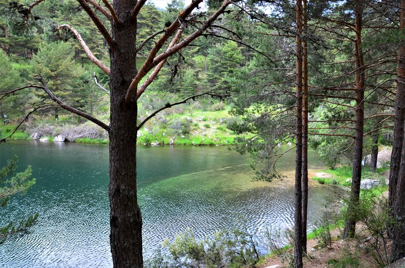 RUTA VALLE DE LA BARRANCA-6-6-2013-MADRID - Paseando por España-1991/2017 (63)