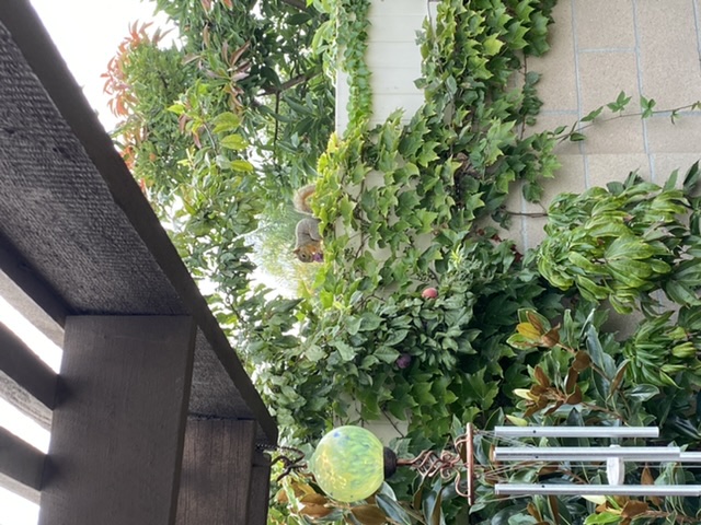 DE669621-8807-45E1-B5C2-FC62AB1EB310