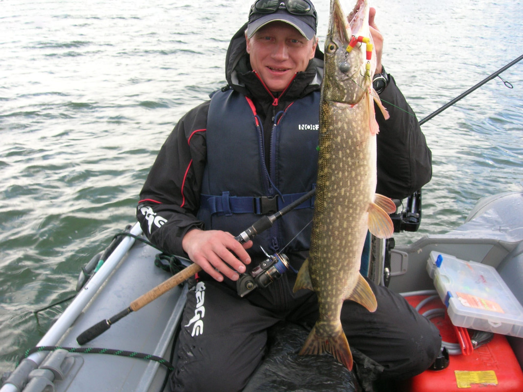 ^8310B9299D4FDFCACBE1F7E7141C274B95B1F86AA471C03