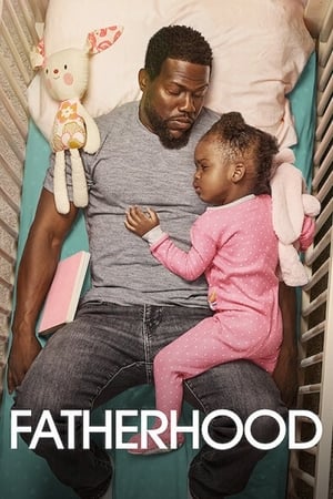 Fatherhood 2021 720p 1080p WEBRip