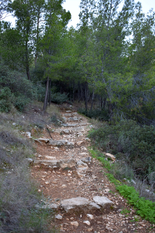 Σπήλαιο του Ευριπίδη (22)