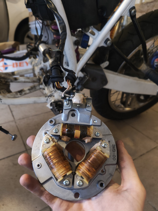 IMG 20260224 164613964