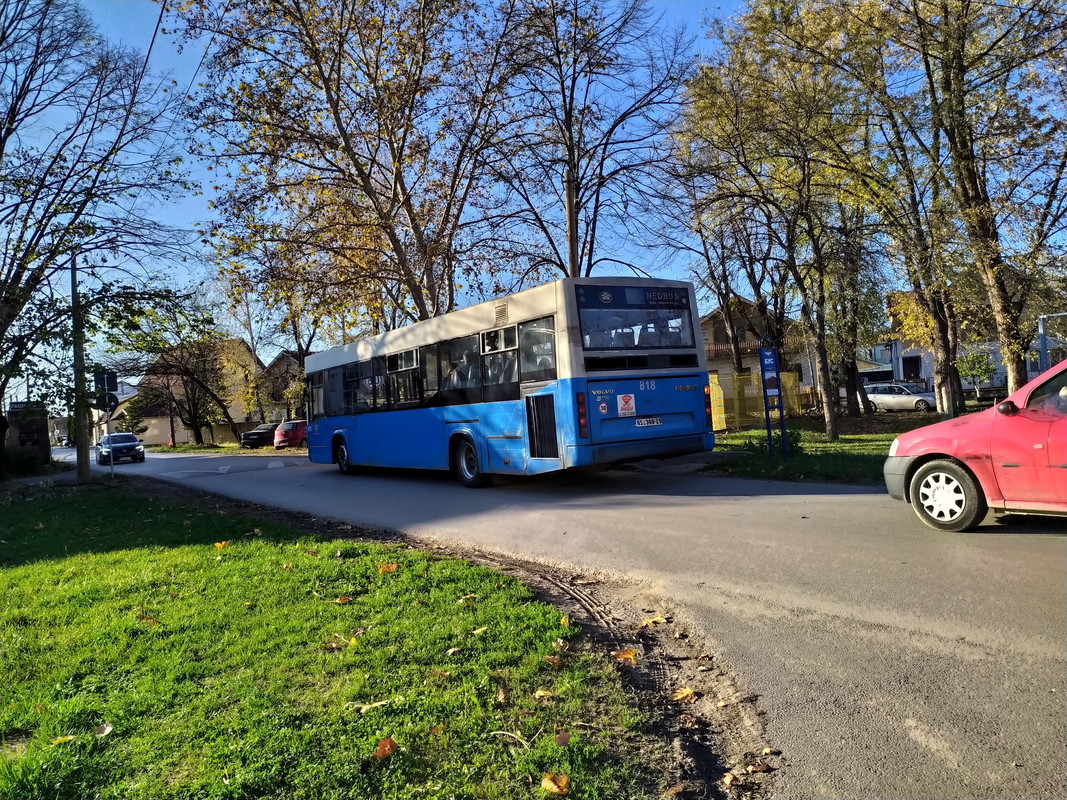 Neobus #818