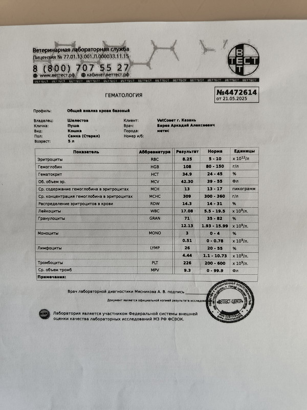 анализы крови1
