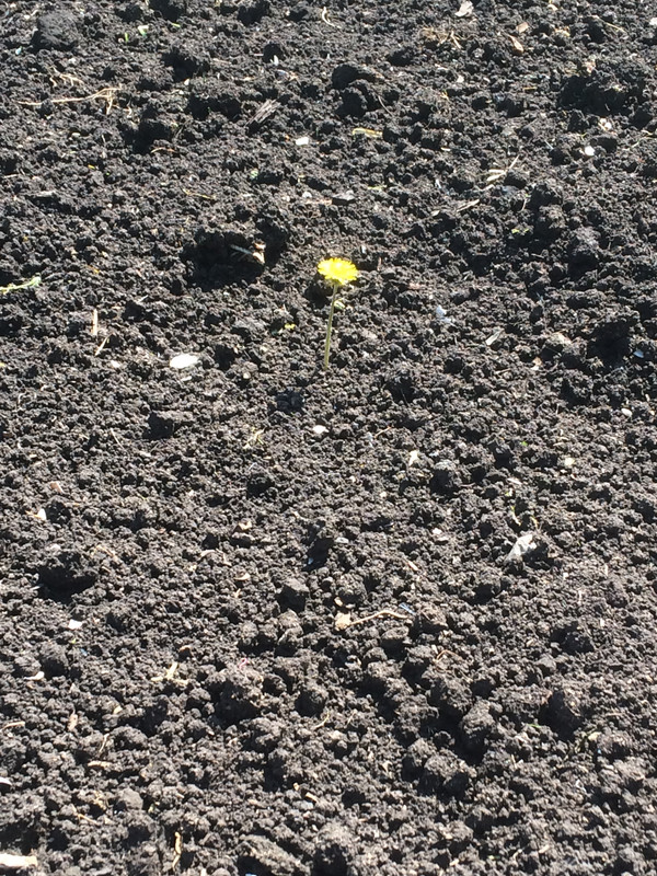 D14CC98F-96D4-43A5-83A1-38236BFA9C26