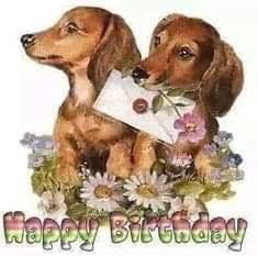 [Image: received-1376836173003118.jpg]