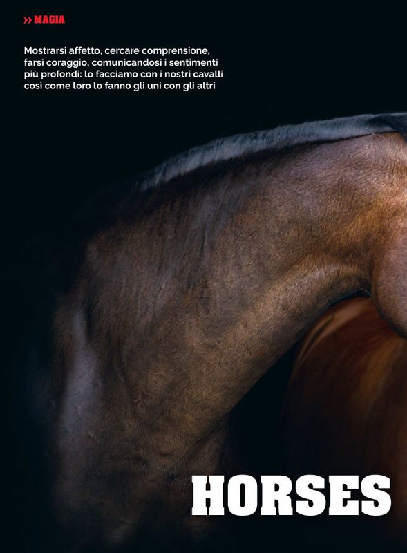 Il Mio Cav (Feb 2023) 1