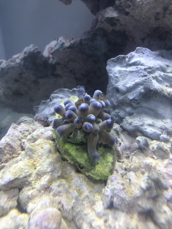 14AE8F06-1F21-4772-8CE7-A294C84FE2E2