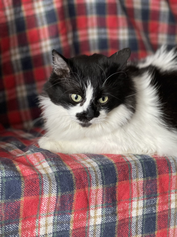 B912399F-46BD-4705-9904-9A3DF3C6D4B0