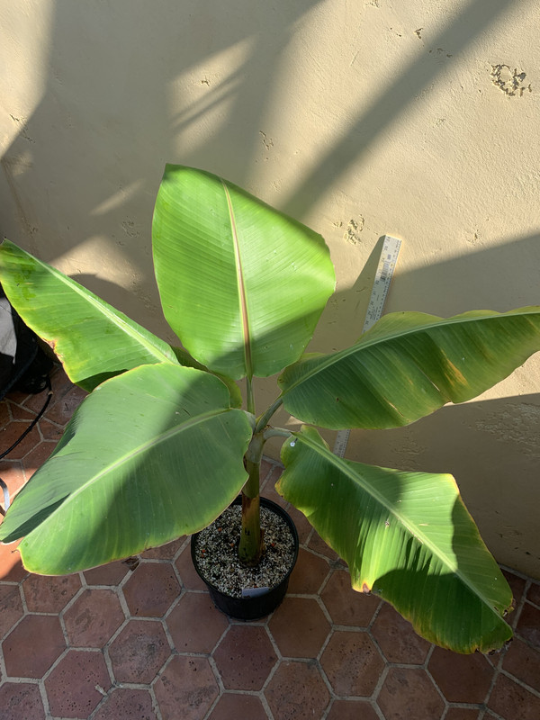 654A105A-E163-4D0C-9903-052AF9A0D1C9