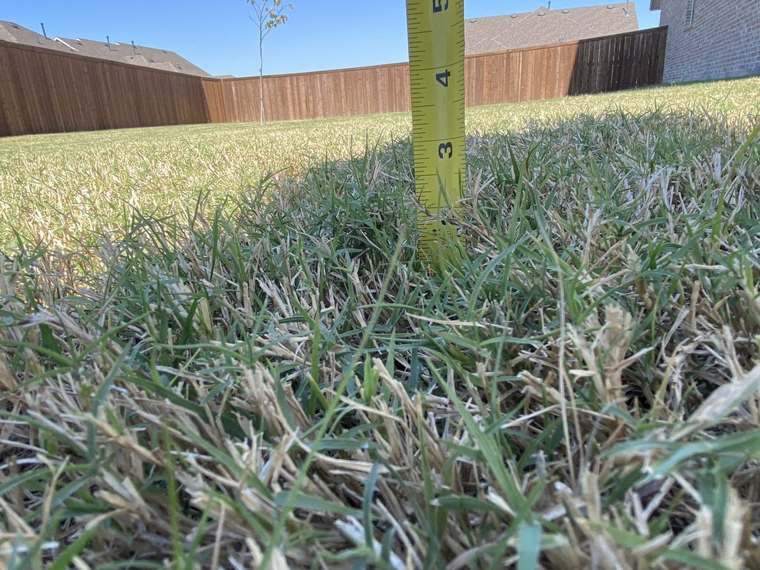 Question Fall Cut Height Bermuda Lawn Care Forum
