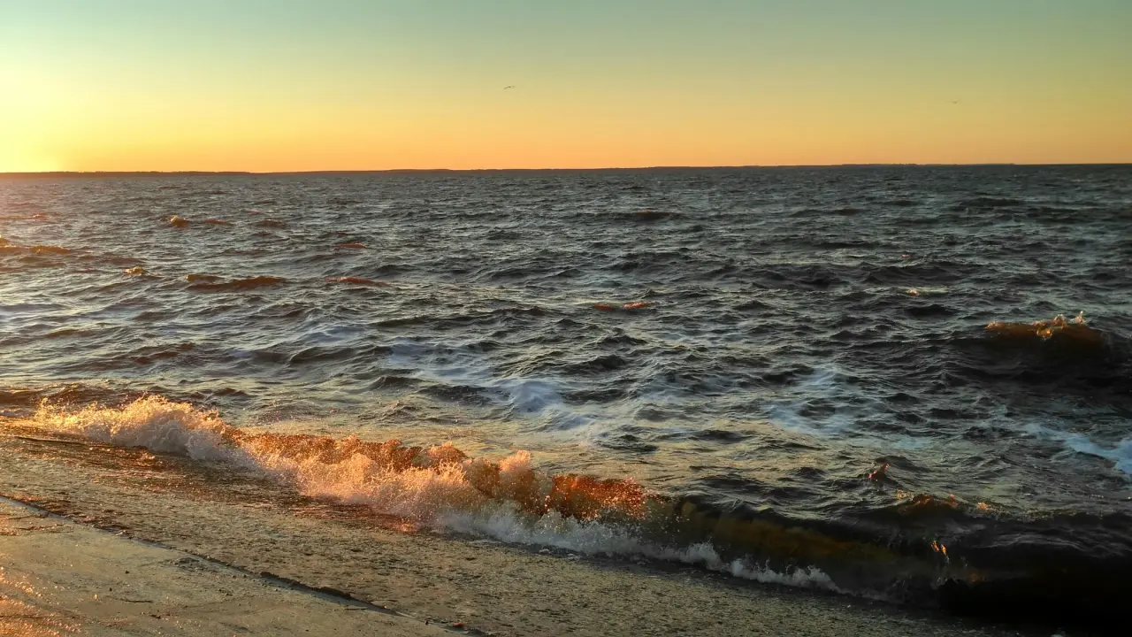 dC3XrrJoLMc