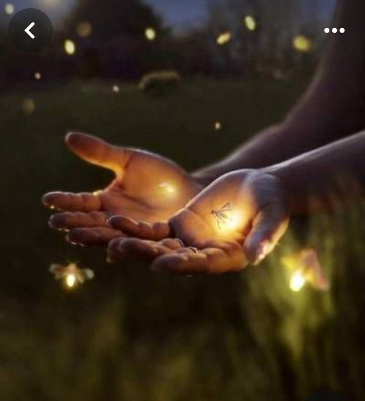 Screenshot_20240331_164958_Pinterest