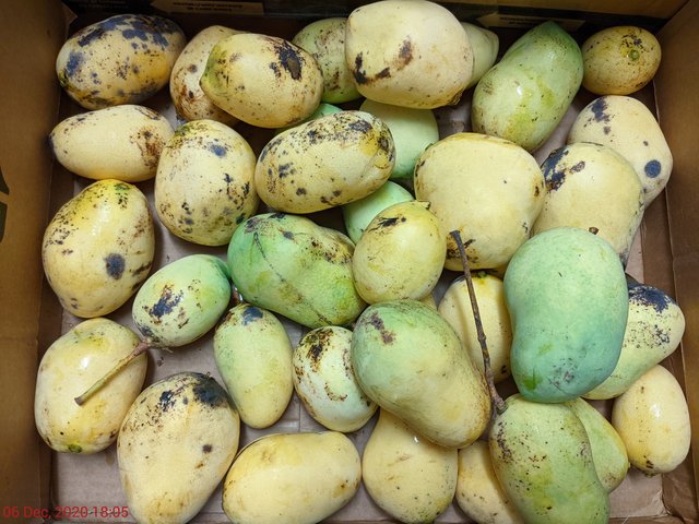 [Image: PXL-20201206-230518038.jpg]