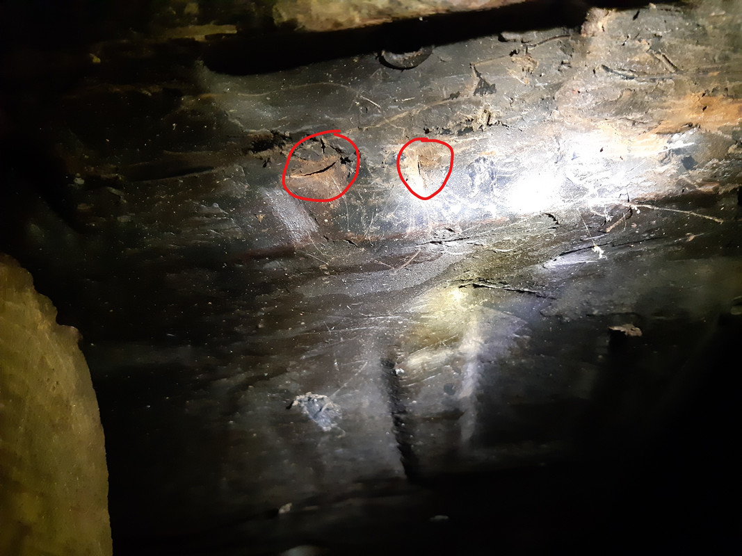 Inked20191202_181316_LI