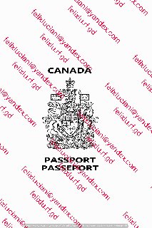 Canada Passport Cover_cleaned