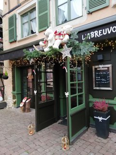 ALSACIA EN NAVIDAD VISITANDO MULHOUSE, ALKIRCH, EGUISHEIM Y TURCKEIM - Puente de la Inmaculada 2022 en Alsacia (35)