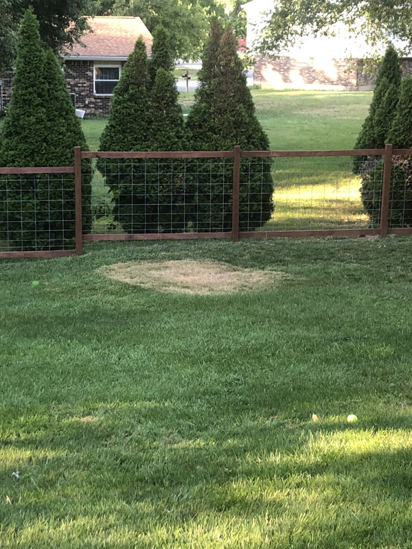 7B451024-6D01-4C56-8F90-EC9F0EC06AD9