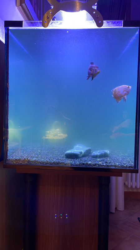 142EA791-2275-490E-ACBC-B1A90B339356