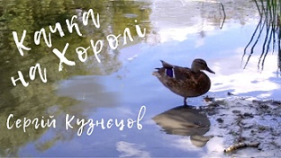 Качка на Хоролі