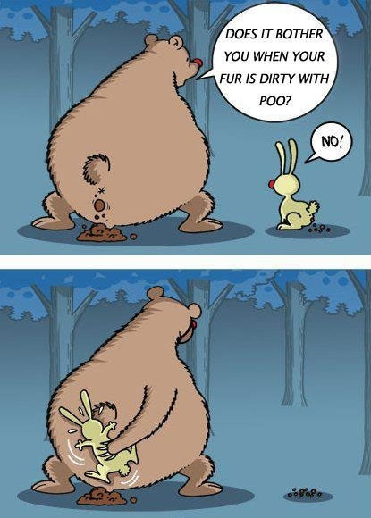 wpid-funny-bear-bunny-poop.jpg