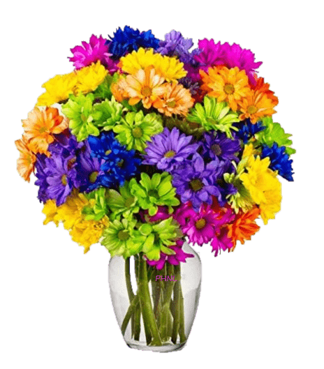 multi colored flowers6
