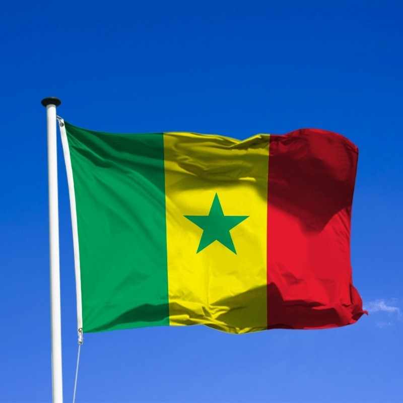 https://i.postimg.cc/MHT9wkLr/drapeau-du-senegal.jpg