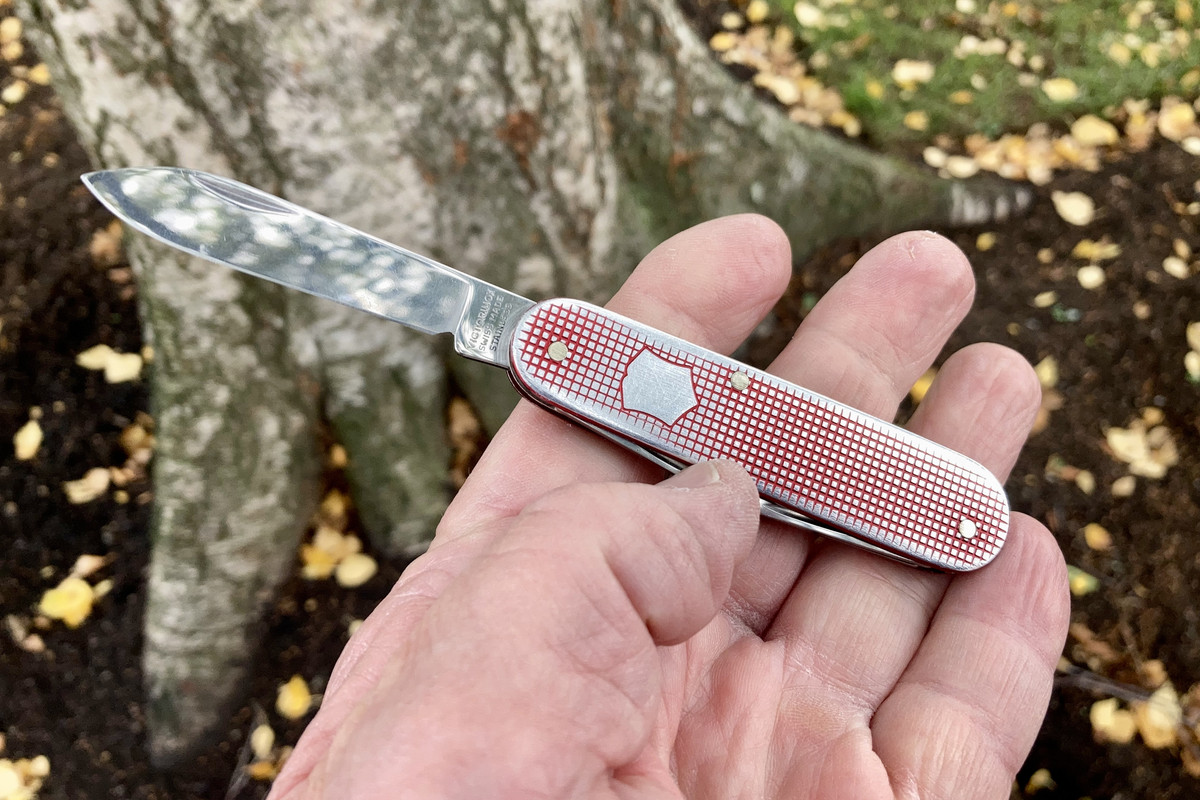 D44E7D16-77A5-4DD1-B86E-52830E49AAD4