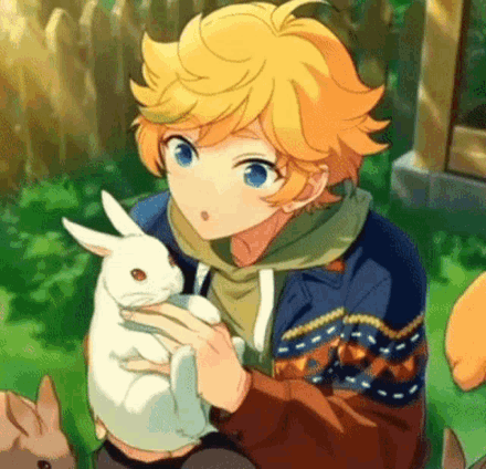 sora