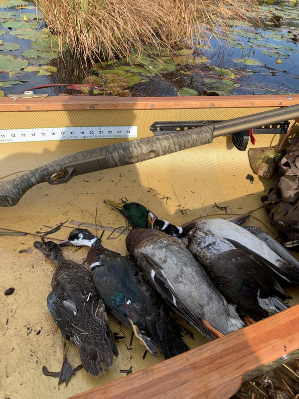 6720D7C4-CBB2-437A-B69F-79CD70C1A72D